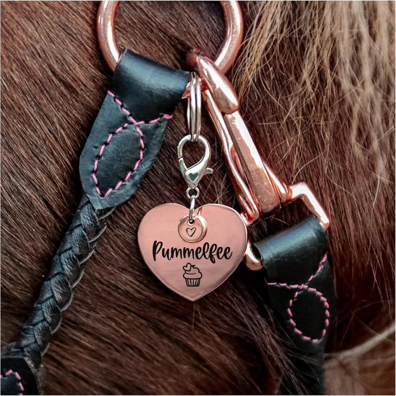 Schutzengel-Talisman für Tiere und Menschen aus Roségold