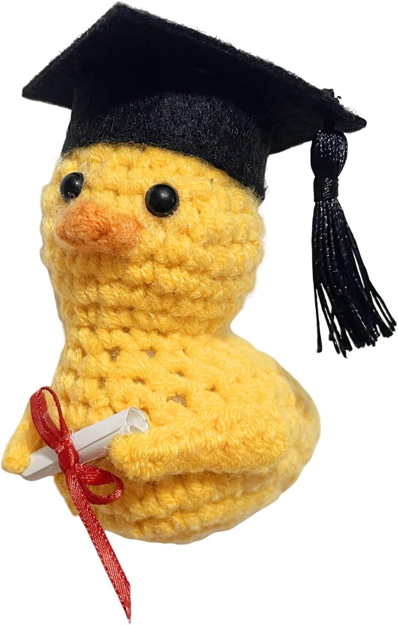 Lustige gestrickte Ente mit Diplom – Geschenk zur Abschlussfeier