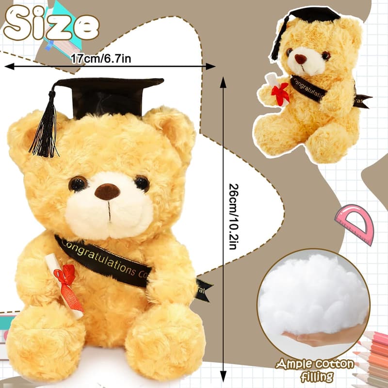 Abschlussgeschenk: 26 cm Teddybär mit Doktorhut für Jungen und Mädchen
