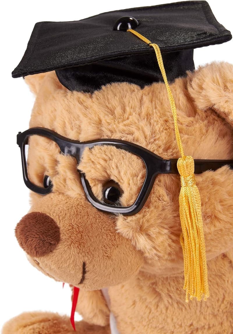 Abschluss-Plüschtier Teddy mit Brille, Diplom und Doktorhut – 25 cm