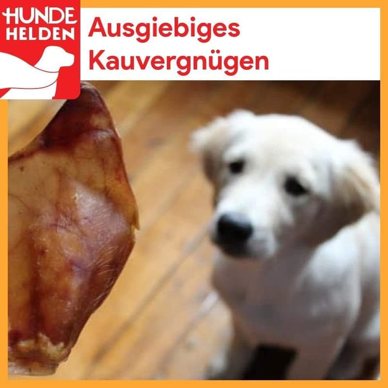 Gepuffte Schweinenasen für Hunde – 10 Stück, getreidefreier Kausnack