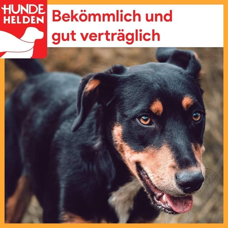 Getrocknete Rinderachillessehnen für Hunde – 1 kg, Naturkauartikel