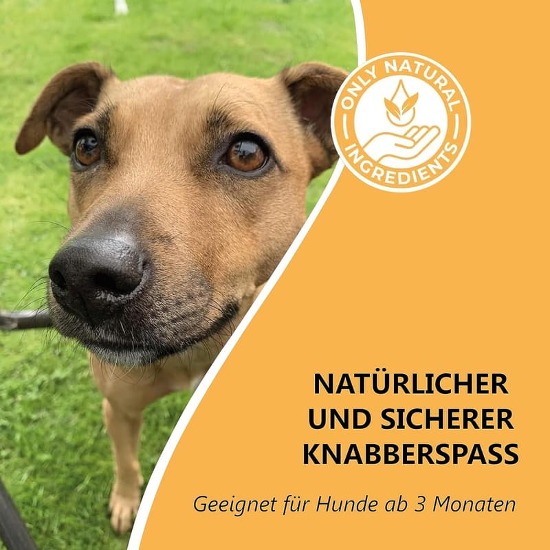 Luftgetrocknete Hühnerfüße für Hunde – hypoallergen, 1kg, getreide- und glutenfrei