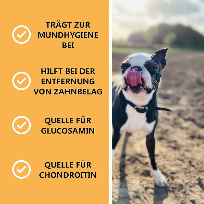 Luftgetrocknete Hühnerfüße für Hunde – hypoallergen, 1kg, getreide- und glutenfrei