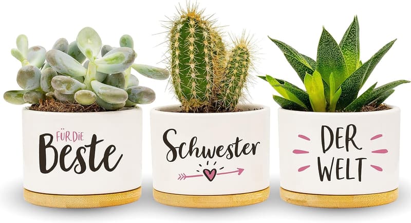 Geschenk für Schwester: Blumentöpfe für den Geburtstag