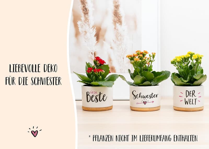 Geschenk für Schwester: Blumentöpfe für den Geburtstag