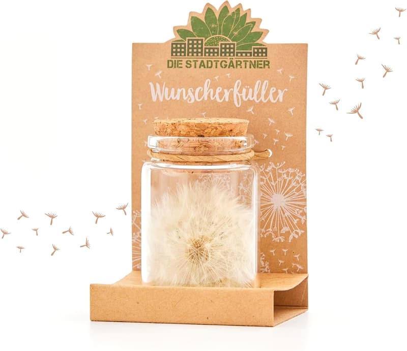 Echte Pusteblume im Glas – Haltbares Geschenk für Frauen