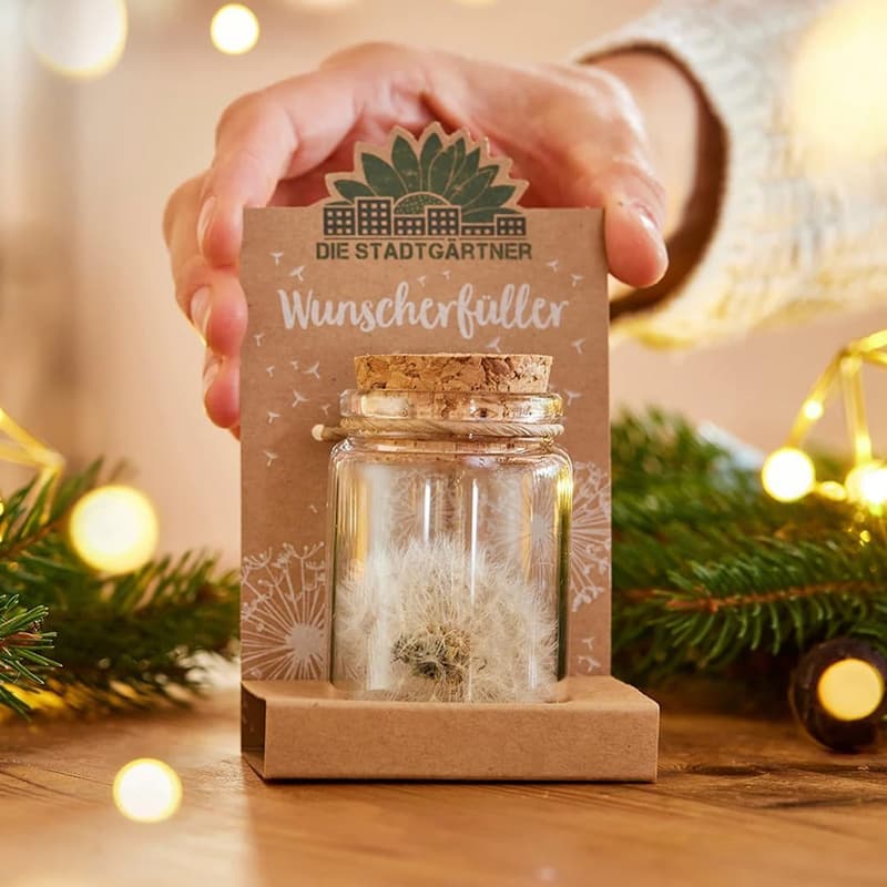 Echte Pusteblume im Glas – Haltbares Geschenk für Frauen