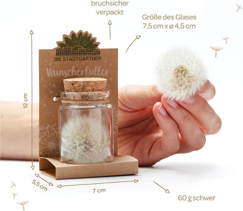 Echte Pusteblume im Glas – Haltbares Geschenk für Frauen