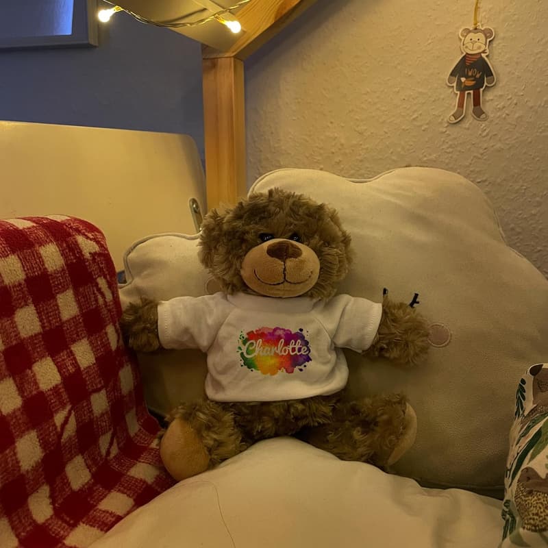 Personalisierter Teddy Bodo – Stofftier mit Foto/Text – 24cm – Geschenk