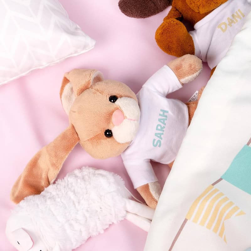 Personalisierbares Plüschtier Hase mit Foto und Text – Valentinstag Geschenk