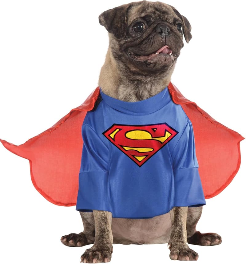 Superman Pet Costume for Small Dogs - DC Comics Halloween Theme