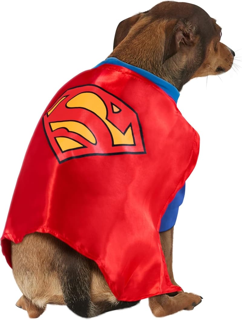 Superman Pet Costume for Small Dogs - DC Comics Halloween Theme