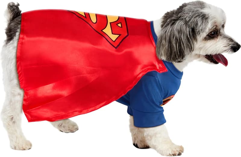 Superman Pet Costume for Small Dogs - DC Comics Halloween Theme