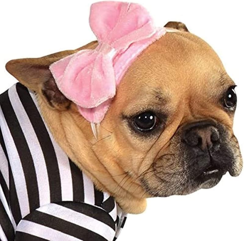 50s Girl Pet Costume for Themed Parties and Halloween, Small