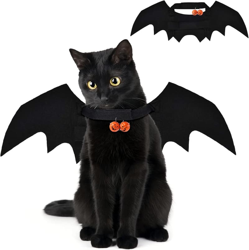 Halloween Cat Costume with Bat Wings and Pumpkin Jingle Bells