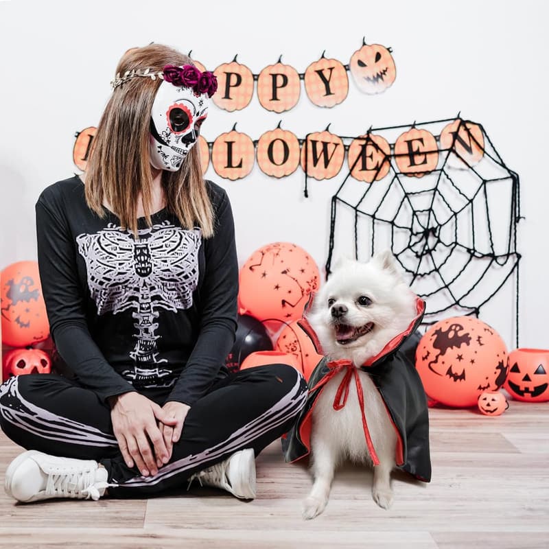 Halloween Vampire Costume for Dogs & Cats, Black and Red Cape