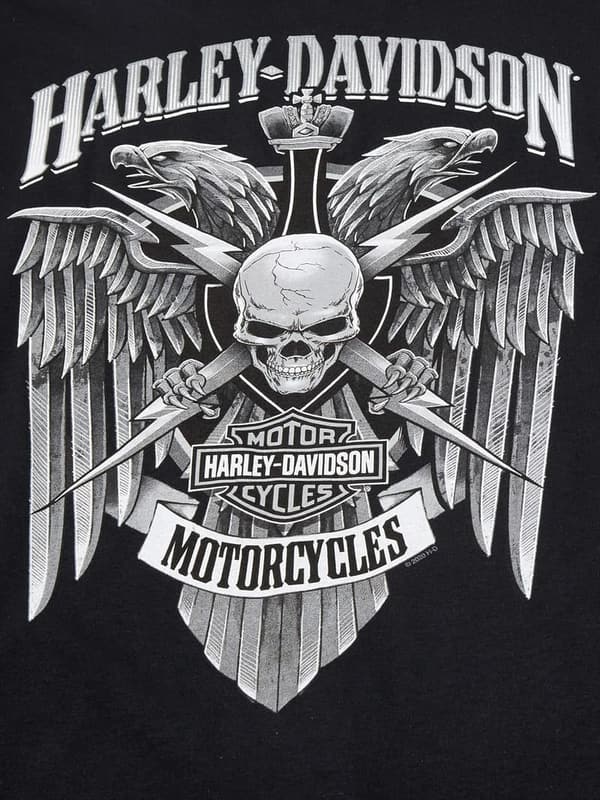 Harley-Davidson Men's Black Skull Lightning Long Sleeve Shirt