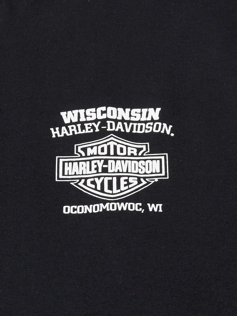 Harley-Davidson Men's Black Skull Lightning Long Sleeve Shirt