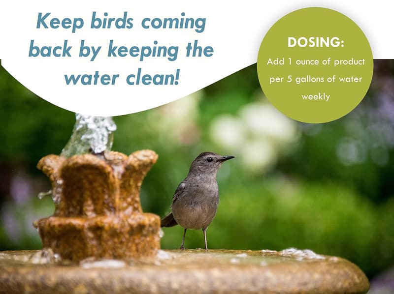 Bird Bath Fountain Maintenance Enzymes - 8 Oz Safe Formula