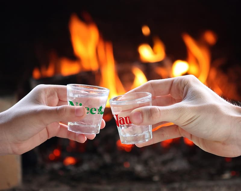 Naughty & Nice Shot Glass Set - 1.5 oz Fun Gift for Couples
