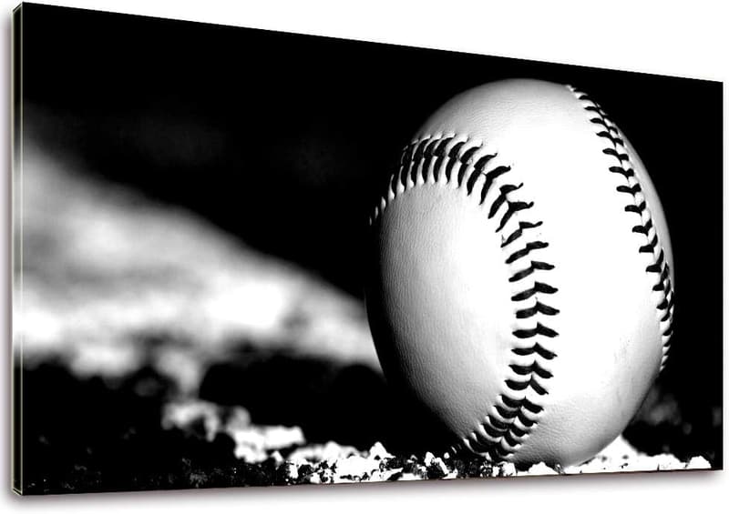 Rustic Black and White Baseball Canvas Wall Art - 20