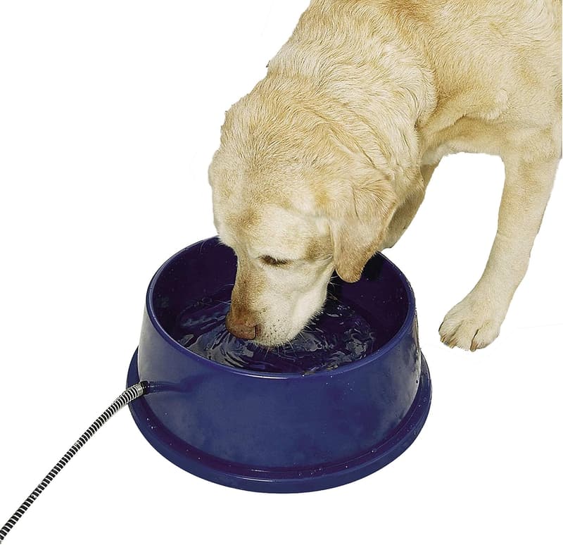 Outdoor Heated Water Bowl for Dogs & Cats, 96 oz, 25W