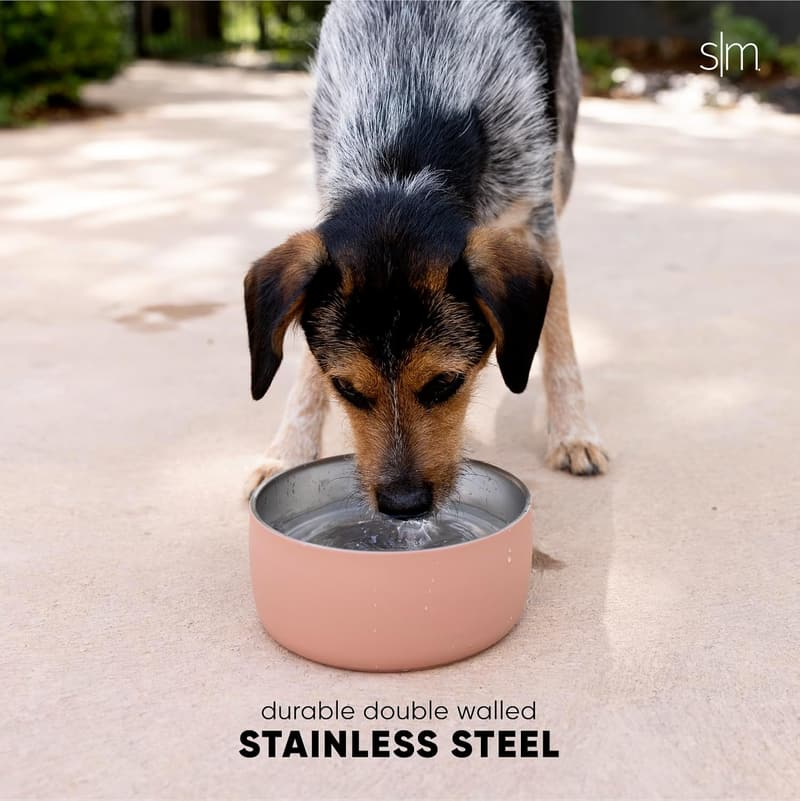 Insulated Stainless Steel Pet Water Bowl - Midnight Black