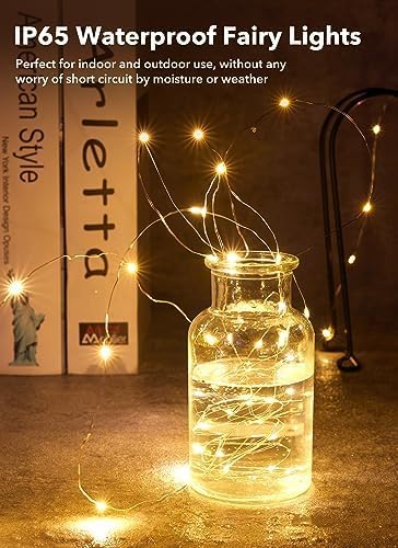 12 Pack Battery Operated LED Fairy Lights for Weddings & Parties