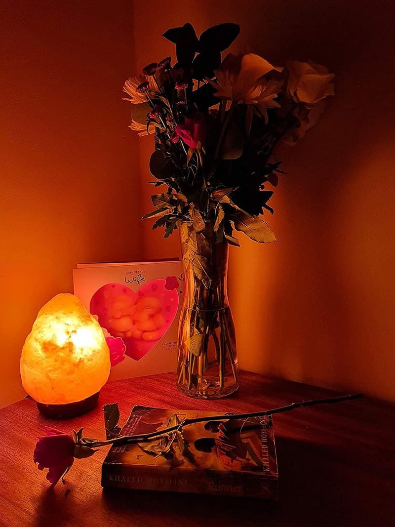 Himalayan Salt Lamp with Dimmer - Hand Carved Natural Night Light