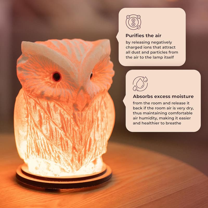 Natural Rock Salt Owl Crystal Lamp - Unique Night Light Gift