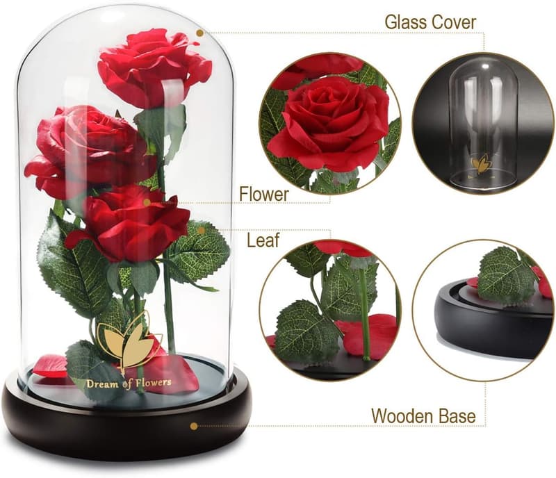 LED Light-Up Rose in Glass Dome - Birthday Gift for Women