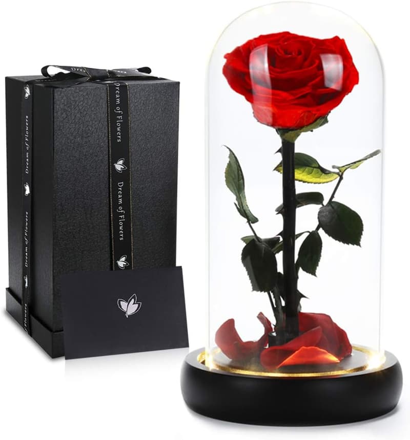 Mother's Day Preserved Rose in Glass Dome with Warm Light