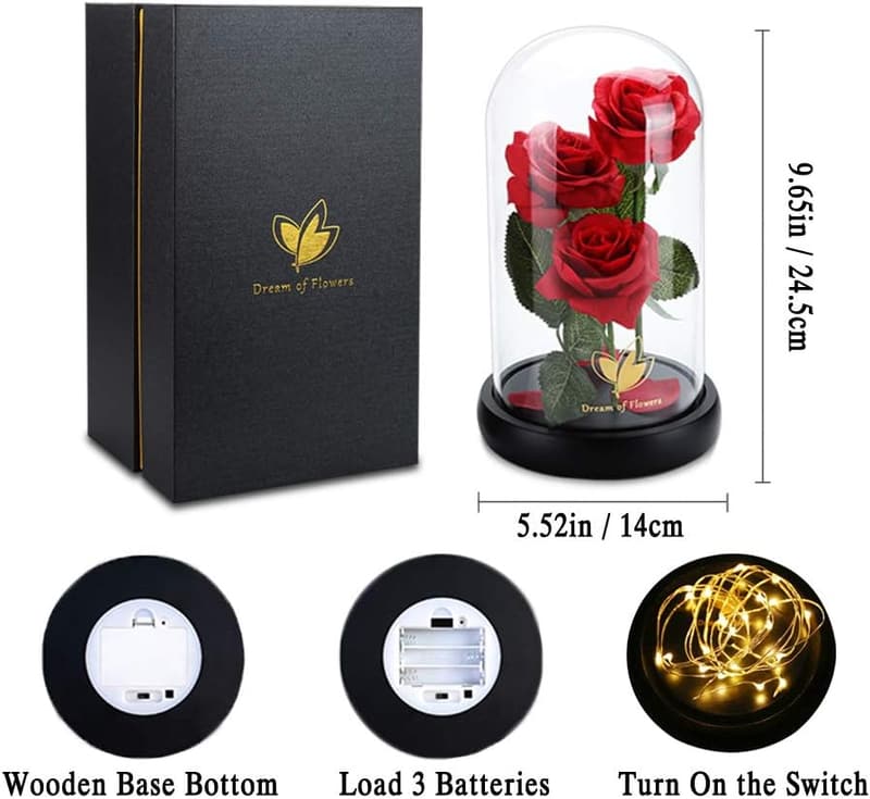 Graduation/Anniversary Silk Rose in Glass Dome with LED Lights