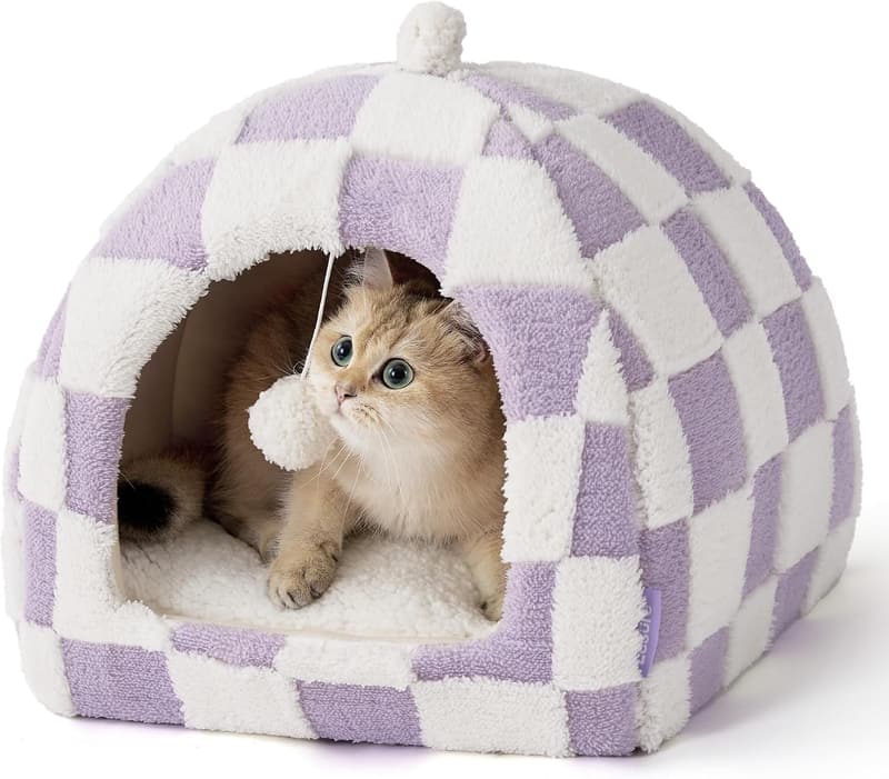 Cozy 2-in-1 Cat Cave Bed with Removable Pillow - Purple