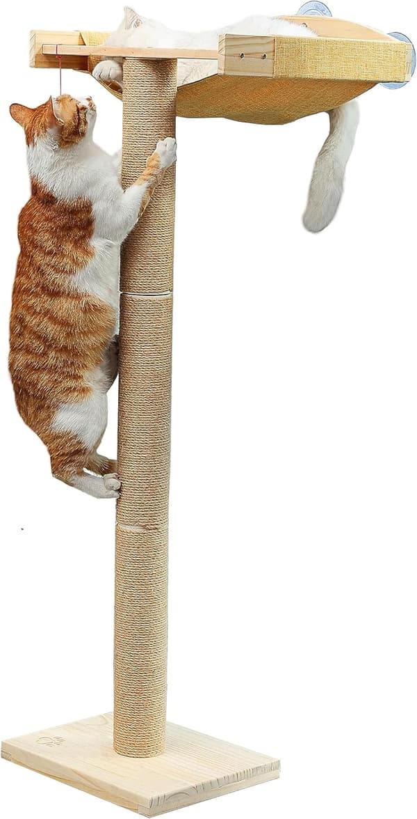 Cat Window Perch with Climbing Tree Hammock and Scratching Posts