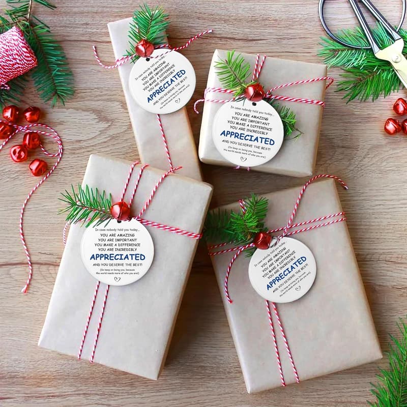 Appreciation Gift Set - 10 Ceramic Ornaments for Coworkers