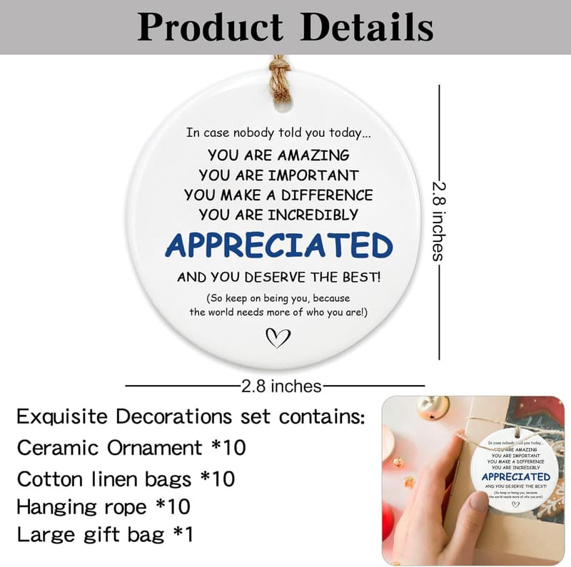 Appreciation Gift Set - 10 Ceramic Ornaments for Coworkers