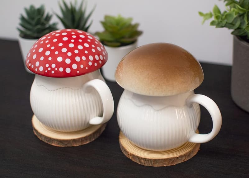 Cottagecore Stoneware Mug with Lid & Gift Box (Red)