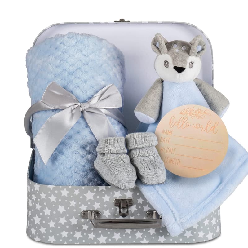Newborn Blue Deer Fawn Gift Set with Blanket, Booties & Box