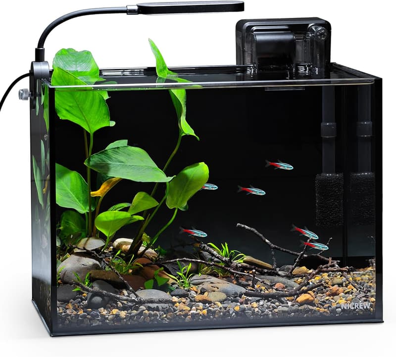 Nano Nature Aquarium Kit – 2.5 Gallon Rimless Desktop Tank