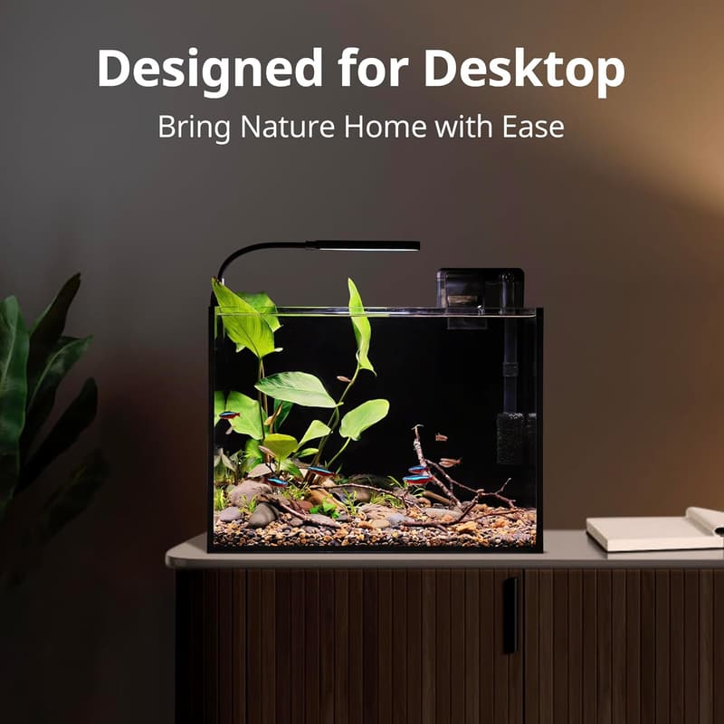 Nano Nature Aquarium Kit – 2.5 Gallon Rimless Desktop Tank