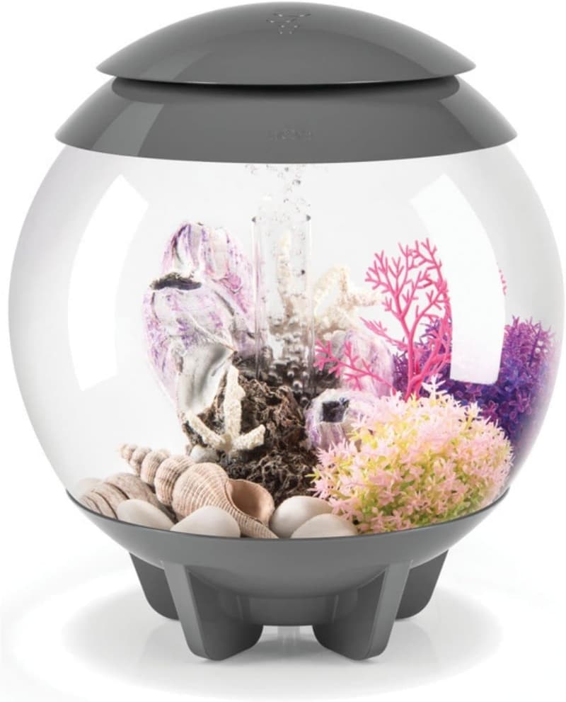 Modern Compact 4-Gallon Acrylic Aquarium with LED Lights