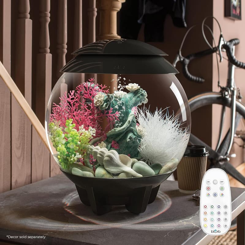 Modern Compact 4-Gallon Acrylic Aquarium with LED Lights