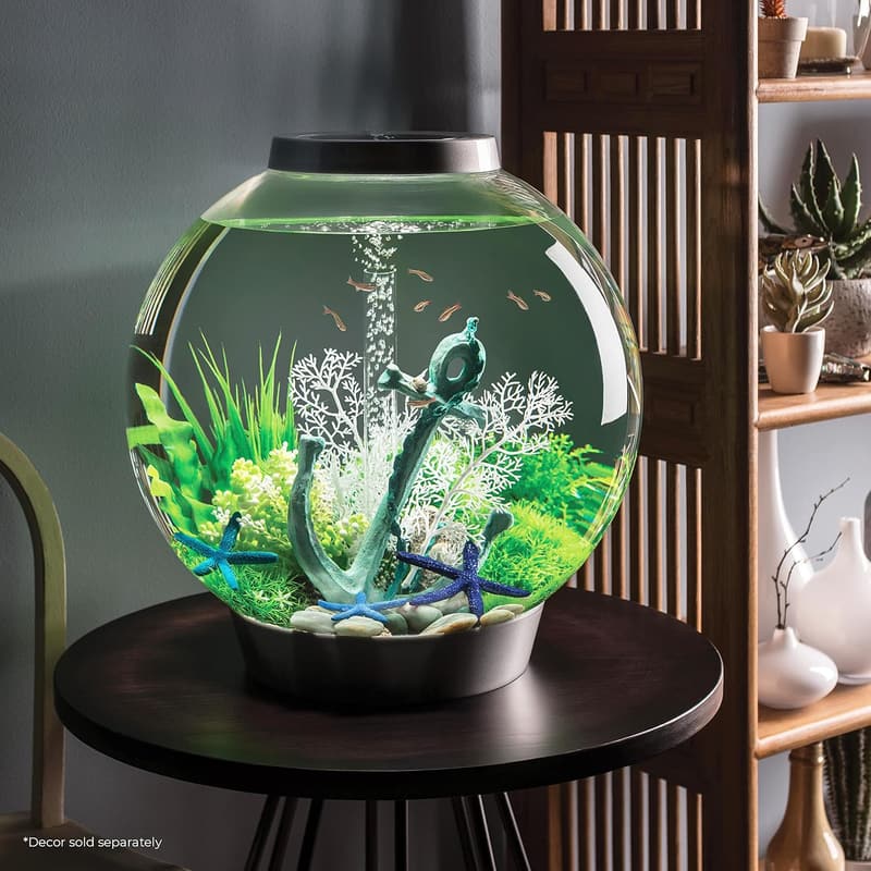 biOrb Classic 60 Acrylic 16-Gallon Aquarium with LED Lights