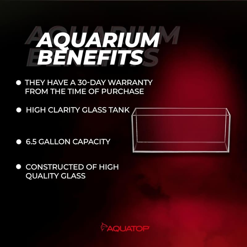 Aquarium Tank – 6.5 Gallon Crystal Clear Glass for Freshwater & Saltwater