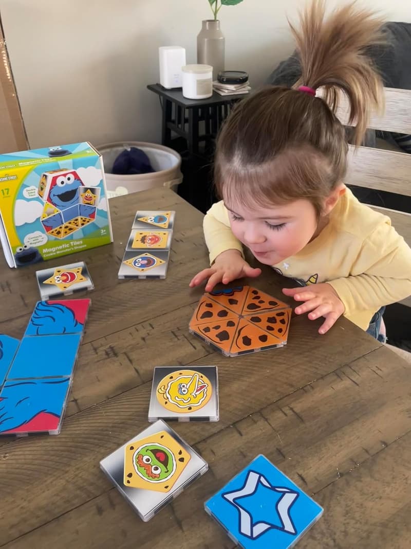 Sesame Street Cookie Monster Magnetic Shapes Playset - 17 Pieces