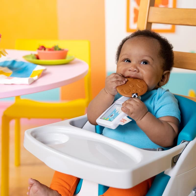 Bright Starts 2-in-1 Rattle and Teether Toy for Babies 3+