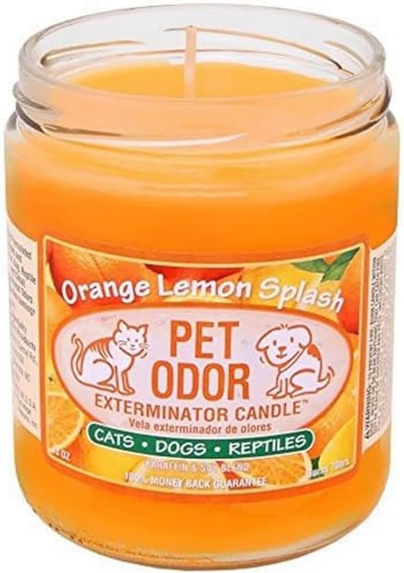 Pet Odor Exterminator Candle - Orange Lemon Splash