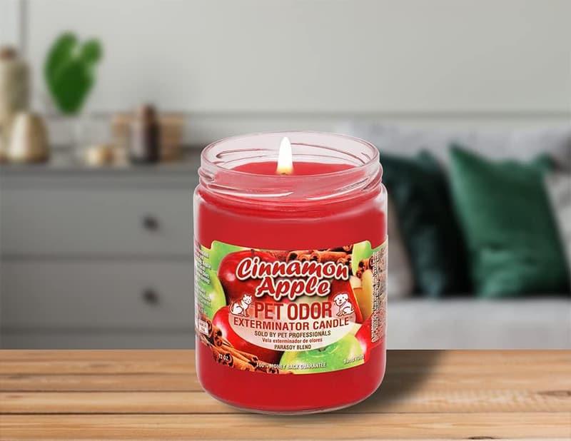 Cinnamon Apple Pet Odor Exterminator Candles - 13 oz, 2 Pack